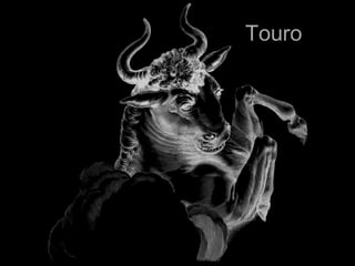 Touro
 