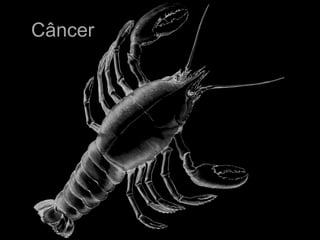 Câncer
 
