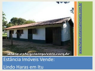 Estância Imóveis Vende: Lindo Haras em Itu www.haras.estanciaimoveis.com.br 