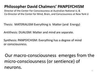 11
Philosopher David Chalmers’ PANPSYCHISM
Director of the Center For Consciousness at Australian National U, &
Co-Directo...
