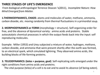 THREE STAGES OF LIFE’S EMERGENCE
From biological anthropologist Terrence Deacon ‘s(2011), Incomplete Nature: How
Mind Emer...