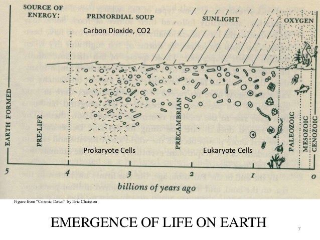 incomplete nature how mind emerged from matter pdf