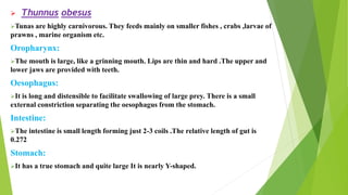 Quite Distensible Comparitive study of fishes | PPTX