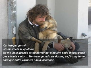     
Curioso perguntei:
- Como vocês se ajudam?
Ele me vigia quando estou dormindo; ninguém pode chegar perto
que ele late e ataca. Também quando ele dorme, eu fico vigiando
para que outro cachorro não o incomode.
 