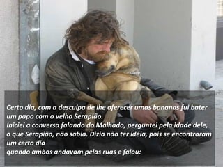     
Certo dia, com a desculpa de lhe oferecer umas bananas fui bater
um papo com o velho Serapião.
Iniciei a conversa falando do Malhado, perguntei pela idade dele,
o que Serapião, não sabia. Dizia não ter idéia, pois se encontraram
um certo dia
quando ambos andavam pelas ruas e falou:
 