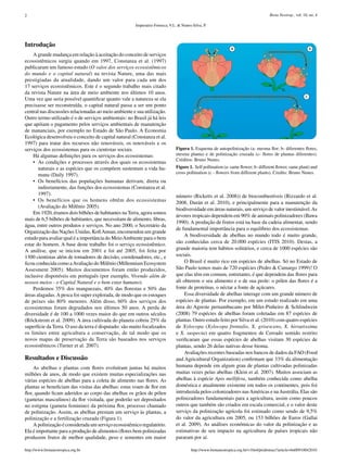 2                                                                                                                                  Biota Neotrop., vol. 10, no. 4

                                                      Imperatriz-Fonseca, V.L. & Nunes-Silva, P.



Introdução
                                                                                                             a                                               b
    A grande mudança em relação à aceitação do conceito de serviços
ecossistêmicos surgiu quando em 1997, Constanza et al. (1997)
publicaram um famoso estudo (O valor dos serviços ecossistêmicos
do mundo e o capital natural) na revista Nature, uma das mais
prestigiadas da atualidade, dando um valor para cada um dos
17 serviços ecossistêmicos. Este é o segundo trabalho mais citado
da revista Nature na área de meio ambiente nos últimos 10 anos.
                                                                                                                                                         c
Uma vez que seria possível quantificar quanto vale a natureza se ela
precisasse ser reconstruída, o capital natural passa a ser um ponto
central nas discussões relacionadas ao meio ambiente e sua utilização.
Outro termo utilizado é o de serviços ambientais: no Brasil já há leis
que apóiam o pagamento pelos serviços ambientais de manutenção
de mananciais, por exemplo no Estado de São Paulo. A Economia
Ecológica desenvolveu o conceito de capital natural (Constanza et al.
1997) para tratar dos recursos não renováveis, os renováveis e os
serviços dos ecossistemas para os cientistas sociais.                        Figura 1. Esquema de autopolinização (a- mesma flor; b- diferentes flores,
    Há algumas definições para os serviços dos ecossistemas:                 mesma planta) e de polinização cruzada (c- flores de plantas diferentes).
                                                                             Créditos: Bruno Nunes.
    •	 As	condições	e	processos	através	dos	quais	os	ecossistemas	
       naturais e as espécies que os compõem sustentam a vida hu-            Figure 1. Self pollination (a- same flower; b- different flower, same plant) and
                                                                             cross pollination (c - flowers from different plants). Credits: Bruno Nunes.
       mana (Daily 1997).
    •	 Os	 benefícios	 das	 populações	 humanas	 derivam,	 direta	 ou	
       indiretamente, das funções dos ecossistemas (Constanza et al.
       1997).                                                                número (Ricketts et al. 2008)) de biocombustíveis (Rizzardo et al.
    •	 Os	 benefícios	 que	 os	 homens	 obtêm	 dos	 ecossistemas	            2008, Durán et al. 2010), e principalmente para a manutenção da
       (Avaliação do Milênio 2005).
                                                                             biodiversidade em áreas naturais, um serviço de valor inestimável. As
    Em 1920, éramos dois bilhões de habitantes na Terra, agora somos
                                                                             árvores tropicais dependem em 90% de animais polinizadores (Bawa
mais de 6,5 bilhões de habitantes, que necessitam de alimento, fibras,
                                                                             1990). A produção de frutos está na base da cadeia alimentar, sendo
água, entre outros produtos e serviços. No ano 2000, o Secretário da
                                                                             de fundamental importância para o equilíbrio dos ecossistemas.
Organização das Nações Unidas, Kofi Annan, encomendou um grande
                                                                                  A biodiversidade de abelhas no mundo todo é muito grande,
estudo para avaliar qual é a importância do Meio Ambiente para o bem
                                                                             são conhecidas cerca de 20.000 espécies (ITIS 2010). Destas, a
estar do homem. A base deste trabalho foi o serviço ecossistêmico.
A análise, que se iniciou em 2001 e foi até 2005, foi feita por              grande maioria tem hábitos solitários, e cerca de 1000 espécies são
1300 cientistas além de tomadores de decisão, coordenadores, etc., e         sociais.
ficou conhecida como a Avaliação do Milênio (Millennium Ecosystem                 O Brasil é muito rico em espécies de abelhas. Só no Estado de
Assesment 2005). Muitos documentos foram então produzidos,                   São Paulo temos mais de 720 espécies (Pedro & Camargo 1999)! O
inclusive disponíveis em português (por exemplo, Vivendo além de             que elas têm em comum, entretanto, é que dependem das flores para
nossos meios - o Capital Natural e o bem estar humano).                      ali obterem o seu alimento e o de sua prole: o pólen das flores é a
    Perdemos 35% dos manguezais, 40% das florestas e 50% das                 fonte de proteínas, o néctar a fonte de açúcares.
áreas alagadas. A pesca foi super explorada, de modo que os estoques              Essa diversidade de abelhas interage com um grande número de
de peixes são 80% menores. Além disso, 60% dos serviços dos                  espécies de plantas. Por exemplo, em um estudo realizado em uma
ecossistemas foram degradados nos últimos 50 anos. A perda de                área do Agreste pernambucano por Milet-Pinheiro & Schlindwein
diversidade é de 100 a 1000 vezes maior do que em outros séculos             (2008) 79 espécies de abelhas foram coletadas em 87 espécies de
(Röckstrom et al. 2009). A área cultivada do planeta cobriu 25% da           plantas. Outro estudo feito por Silva et al. (2010) com quatro espécies
superfície da Terra. O uso da terra é disputado: são muito focalizados       de Xylocopa (Xylocopa frontalis, X. grisescens, X. hirsutissima
os limites entre agricultura e conservação, de tal modo que os               e X. suspecta) em quatro fragmentos de Cerrado sentido restrito
novos mapas de preservação da Terra são baseados nos serviços                verificaram que essas espécies de abelhas visitam 30 espécies de
ecossistêmicos (Turner et al. 2007).                                         plantas, sendo 26 delas nativas desse bioma.
                                                                                  Avaliações recentes baseadas nos bancos de dados da FAO (Food
Resultados e Discussão                                                       and Agricultural Organization) confirmam que 33% da alimentação
     As abelhas e plantas com flores evoluíram juntas há muitos              humana depende em algum grau de plantas cultivadas polinizadas
milhões de anos, de modo que existem muitas especializações nas              muitas vezes pelas abelhas (Klein et al. 2007). Muitos associam as
várias espécies de abelhas para a coleta de alimento nas flores. As          abelhas à espécie Apis mellifera, também conhecida como abelha
plantas se beneficiam das visitas das abelhas: estas voam de flor em         doméstica e atualmente existente em todos os continentes, pois foi
flor, quando ficam aderidos ao corpo das abelhas os grãos de pólen           introduzida pelos colonizadores nas Américas e na Austrália. Elas são
(gametas masculinos) da flor visitada, que poderão ser depositados           polinizadores fundamentais para a agricultura, assim como poucos
no estigma (gameta feminino) da próxima flor, processo chamado               outros que também são criados em escala comercial, e o valor deste
de polinização. Assim, as abelhas prestam um serviço às plantas, a           serviço da polinização agrícola foi estimado como sendo de 9,5%
polinização e a fertilização cruzada (Figura 1).                             do valor da agricultura em 2005, ou 153 bilhões de Euros (Gallai
     A polinização é considerada um serviço ecossistêmico regulatório.       et al. 2009). As análises econômicas do valor da polinização e as
Ela é importante para a produção de alimentos (flores bem polinizadas        estimativas de seu impacto na agricultura de países tropicais não
produzem frutos de melhor qualidade, peso e sementes em maior                pararam por aí.

http://www.biotaneotropica.org.br                                                     http://www.biotaneotropica.org.br/v10n4/pt/abstract?article+bn00910042010
 