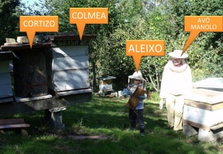 CORTIZO

COLMEA

AVÓ
MANOLO

ALEIXO

 
