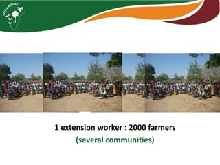 Interactive voice response for dissemination of  agronomy technologies in Malawi - the opportunities and pitfalls