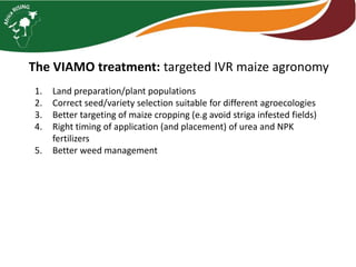 Interactive voice response for dissemination of  agronomy technologies in Malawi - the opportunities and pitfalls