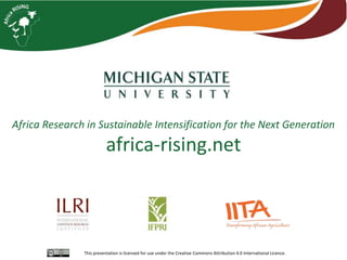 Interactive voice response for dissemination of  agronomy technologies in Malawi - the opportunities and pitfalls