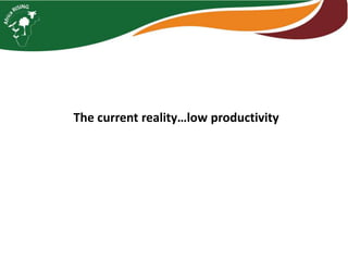 Interactive voice response for dissemination of  agronomy technologies in Malawi - the opportunities and pitfalls