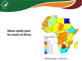 Interactive voice response for dissemination of  agronomy technologies in Malawi - the opportunities and pitfalls