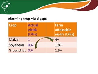 Interactive voice response for dissemination of  agronomy technologies in Malawi - the opportunities and pitfalls