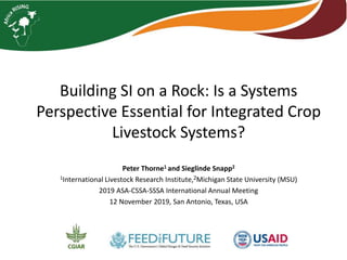 Building SI on a Rock: Is a Systems
Perspective Essential for Integrated Crop
Livestock Systems?
Peter Thorne1 and Sieglinde Snapp2
1International Livestock Research Institute,2Michigan State University (MSU)
2019 ASA-CSSA-SSSA International Annual Meeting
12 November 2019, San Antonio, Texas, USA
 