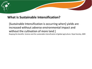 Building SI on a Rock: Is a systems perspective essential for integrated crop livestock systems?