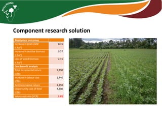 Building SI on a Rock: Is a systems perspective essential for integrated crop livestock systems?