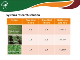 Building SI on a Rock: Is a systems perspective essential for integrated crop livestock systems?