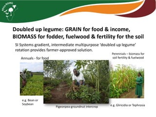 Building SI on a Rock: Is a systems perspective essential for integrated crop livestock systems?