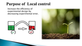 Purpose of Local control
Increase the efficiency of
experimental design by
decreasing experimental error.
 