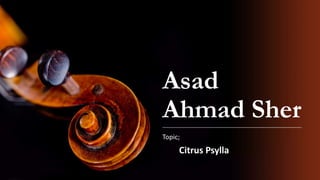 Asad
Ahmad Sher
Topic;
Citrus Psylla
 