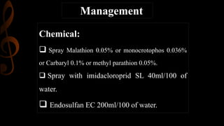Chemical:
 Spray Malathion 0.05% or monocrotophos 0.036%
or Carbaryl 0.1% or methyl parathion 0.05%.
 Spray with imidacloroprid SL 40ml/100 of
water.
 Endosulfan EC 200ml/100 of water.
Management
 