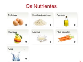 Os Nutrientes