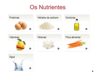 A Saúde   A Nutrição & Os Nutrientes 4