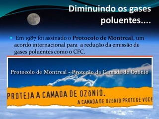 Diminuindo os gases
poluentes....
 Em 1987 foi assinado o Protocolo de Montreal, um
acordo internacional para a redução da emissão de
gases poluentes como o CFC.
 