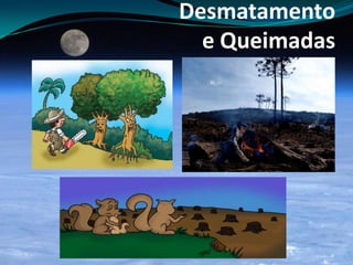 Desmatamento
e Queimadas
 