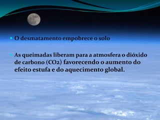  O desmatamento empobrece o solo
 As queimadas liberam para a atmosfera o dióxido
de carbono (CO2) favorecendo o aumento do
efeito estufa e do aquecimento global.
 