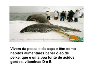 . Vivem da pesca e da caça e têm como hábitos alimentares beber óleo de peixe, que é uma boa fonte de ácidos gordos, vitaminas D e E.