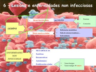 • METABÓLICAS
• Xenéticas
• Dexenerativas
• Autoinmunes
• Proliferación celular
6 – Lesións e enfermidades non infecciosas
• TRAUMATISMOS
LESIÓNS
por GOLPES
• Fracturas
• Contusións
• Morte masiva celular
• Deficiencias metabólicas
• Falta de osíxeno:tromboses…
• Enfermidades
exemplos
ENFERMIDADES
NON
INFECCIOSAS
• Tumor benigno
• Tumor maligno  cancro
 
