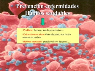 Prevención enfermidadesPrevención enfermidades
Hábitos saudablesHábitos saudables
-Profilaxe: hixiene, uso do preservativo…
-Evitar factores risco: dieta adecuada, non inxerir
substancias nocivas
-Hábitos saudables: exercicio físico, descanso…
 