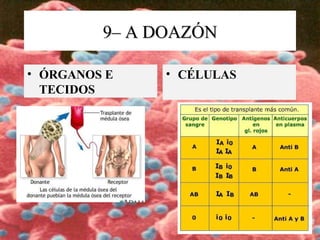 9– A DOAZÓN9– A DOAZÓN
• ÓRGANOS E
TECIDOS
• CÉLULAS
 