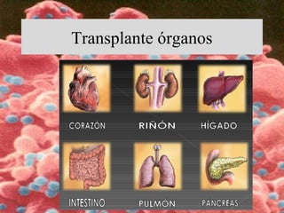 Transplante órganos
 