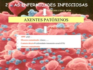 2 - AS ENFERMIDADES INFECCIOSAS
AXENTES PATÓXENOS
• AIRE: gripe …
• Obxectos contaminados: tétanos …..
• Contacto directo enfermidades transmisión sexual (ETS)
• Alimentos contaminados
PRODUCIDAS PORPRODUCIDAS POR
VÍAS CONTAXIOVÍAS CONTAXIO
 