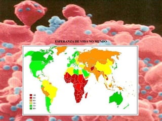 ESPERANZA DE VIDA NO MUNDO
 