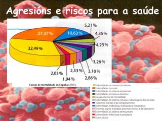 Agresións e riscos para a saúde
Causas de mortalidade en España (2005).
 