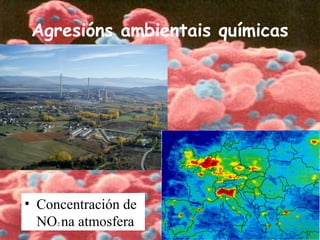 Agresións ambientais químicas
• Concentración de
NO2 na atmosfera
 