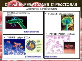 AXENTES PATÓXENOSAXENTES PATÓXENOS
2 - AS ENFERMIDADES INFECCIOSAS
• BACTERIAS: salmonelose,BACTERIAS: salmonelose,
tétanos …tétanos … • FUNGOS: tiña, candidíase…FUNGOS: tiña, candidíase…
• VIRUS: gripe, SIDAVIRUS: gripe, SIDA
• PROTOZOOS: malariaPROTOZOOS: malaria
Célula procariotaCélula procariota
Célula eucariotaCélula eucariotaFormas acelularesFormas acelulares
 