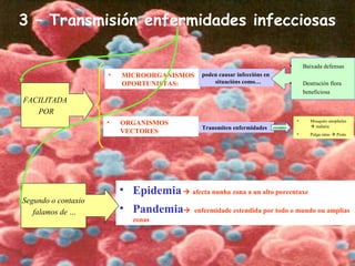• Epidemia afecta nunha zona a un alto porcentaxe
• Pandemia enfermidade estendida por todo o mundo ou amplias
zonas
3 – Transmisión enfermidades infecciosas
• Mosquito anopheles
 malaria
• Pulga ratas  Peste
• MICROORGANISMOS
OPORTUNISTAS:
FACILITADA
POR
poden causar infeccións en
situacións como…
• Baixada defensas
• Destrución flora
beneficiosa
• ORGANISMOS
VECTORES
Transmiten enfermidades exemplos
Segundo o contaxio
falamos de …
 