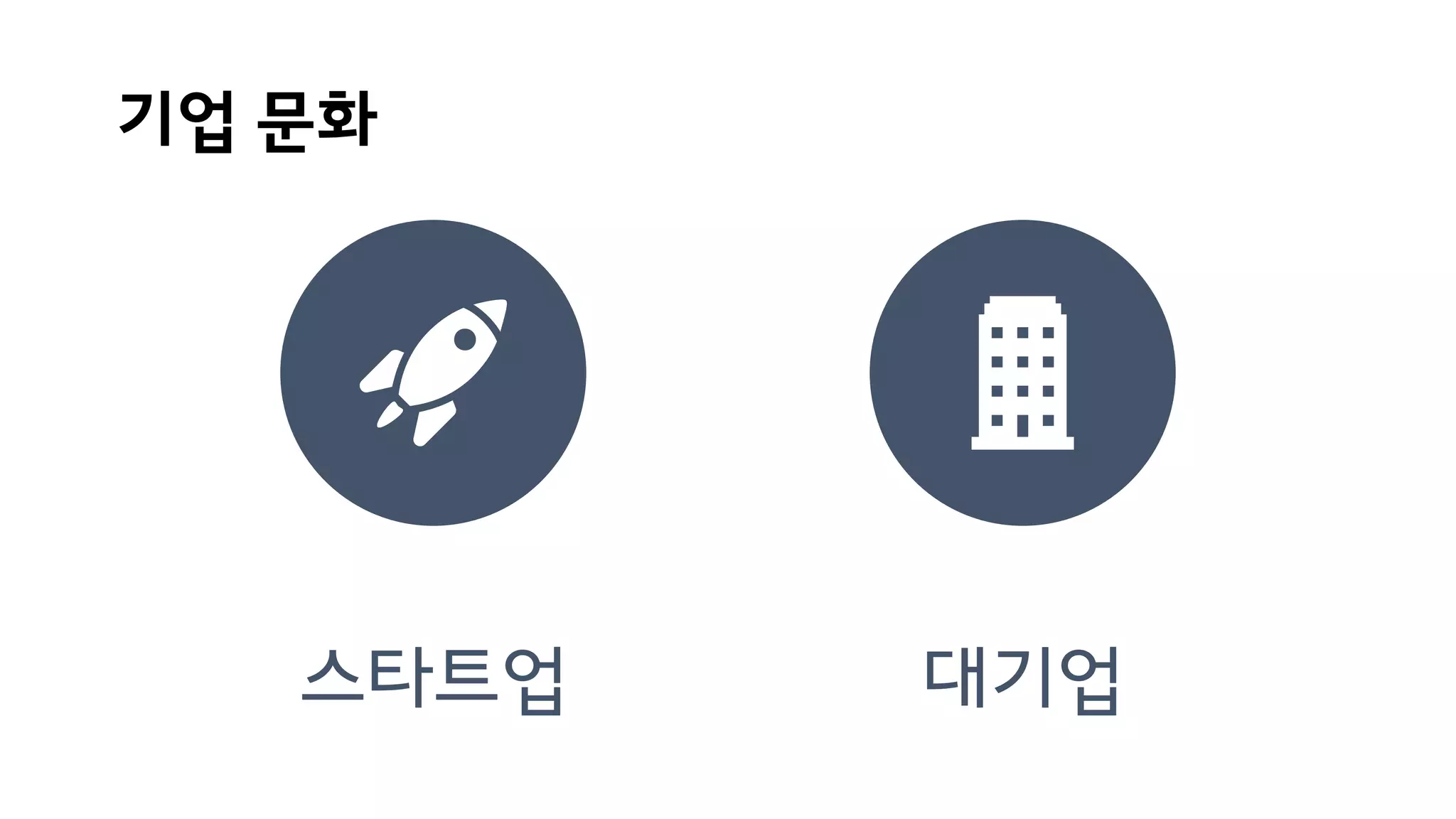 기업 문화
스타트업 대기업
 