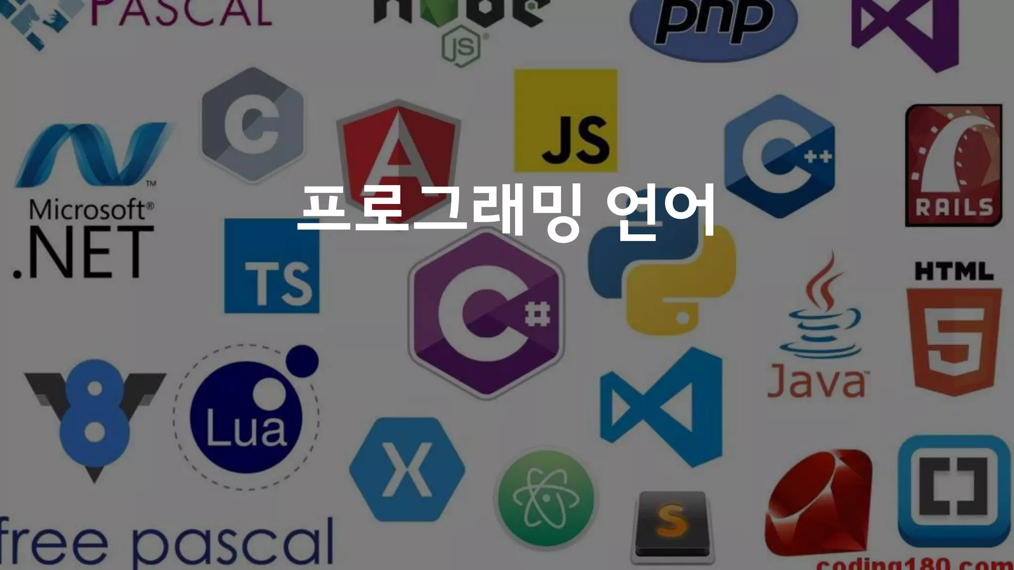 프로그래밍 언어
 