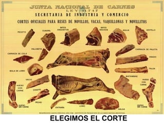 ELEGIMOS EL CORTE