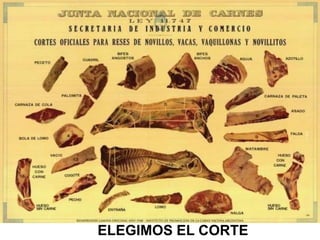 ELEGIMOS EL CORTE
 