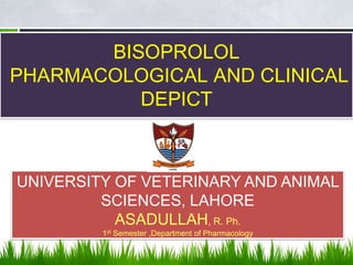 BISOPROLOL
PHARMACOLOGICAL AND CLINICAL
          DEPICT



UNIVERSITY OF VETERINARY AND ANIMAL
         SCIENCES, LAHORE
           ASADULLAH, R. Ph.
         1st Semester ,Department of Pharmacology
 