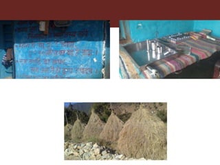 Impact evaluation of innovation platforms to increase dairy production: A case from Uttarakhand, northern India