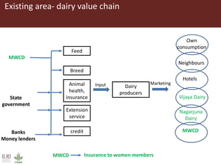 A gendered assessment of the Mulukanoor Women’s Cooperative Dairy value chain, Telangana, India