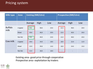 A gendered assessment of the Mulukanoor Women’s Cooperative Dairy value chain, Telangana, India