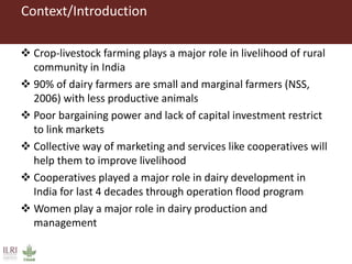 A gendered assessment of the Mulukanoor Women’s Cooperative Dairy value chain, Telangana, India